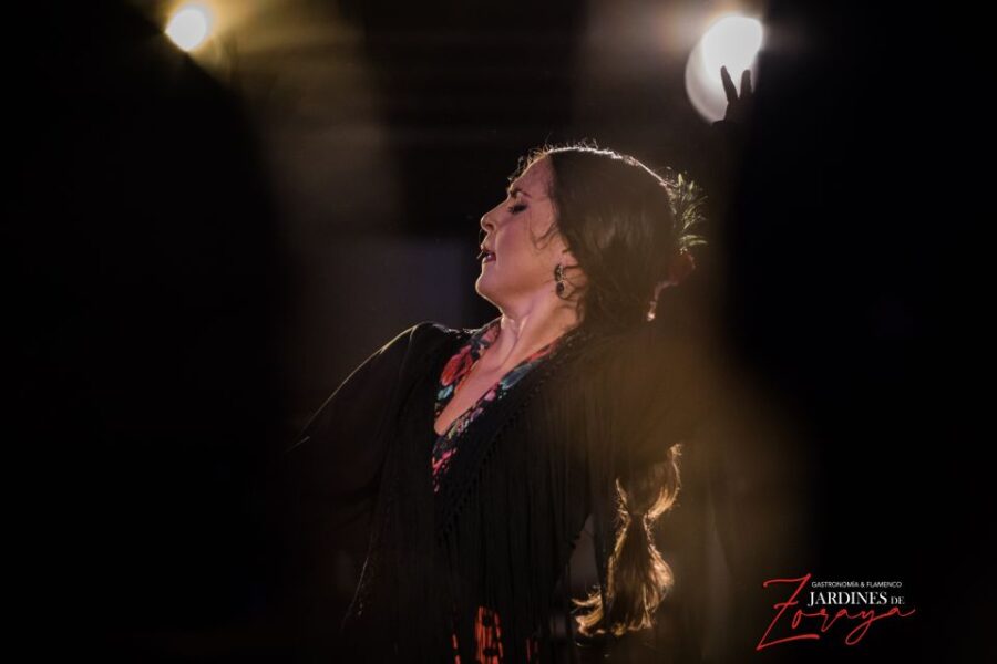 Granada: Flamenco Show in Albaycin – Jardines De Zoraya