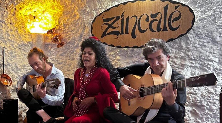 Granada: ZINCALÉ Flamenco Show in Sacromonte Caves