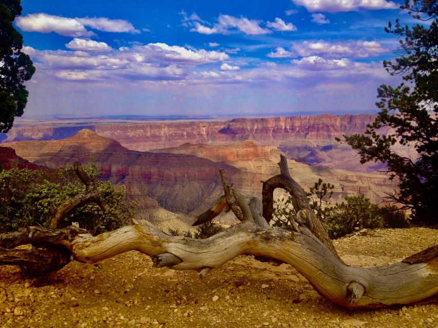 Grand Canyon: North Rim Private Group Tour From Las Vegas - Tour Overview
