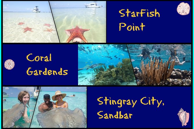 Grand Cayman Cruise: Starfish Point, Stingray City, Coral Garden - Tour Overview and Highlights