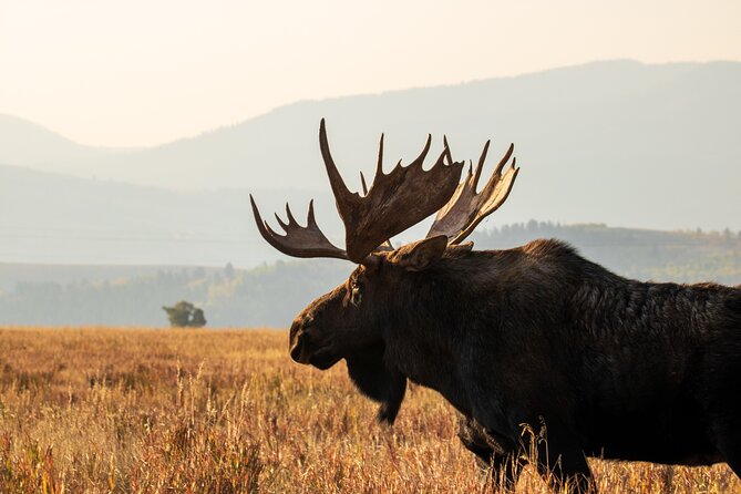 3 Best Full-Day Tours In Jackson