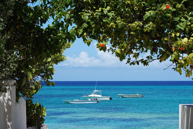 11 Best Tours In Grand Turk