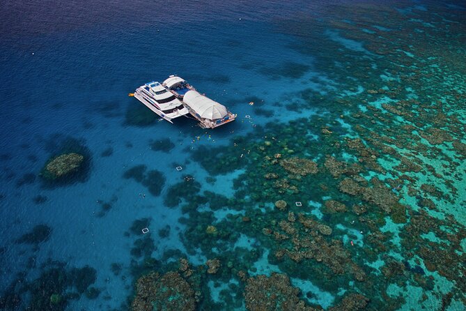 Great Barrier Reef Adventure From Cairns Including Snorkeling - Overview of the Adventure