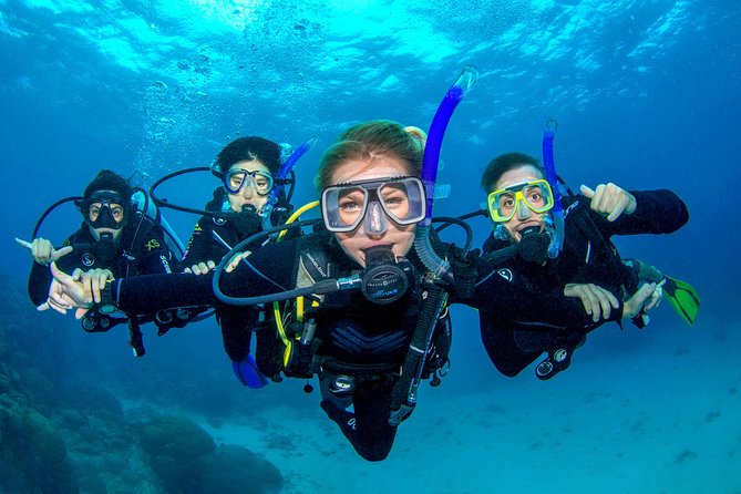 2 Best Scuba Diving Experiences In Cairns and the Tropical North