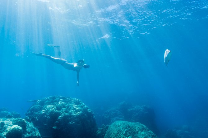 Great Barrier Reef Snorkeling and Diving Cruise From Cairns - Snorkeling and Diving Activities