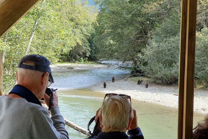 Great Bears of Bute: Grizzly Bear Viewing & Indigenous Cultural Tour
