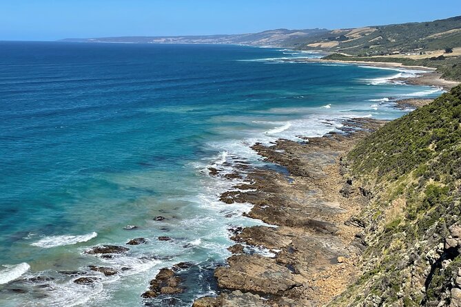 Great Ocean Road to 12 Apostles Plus Rainforest Melbourne Daytour