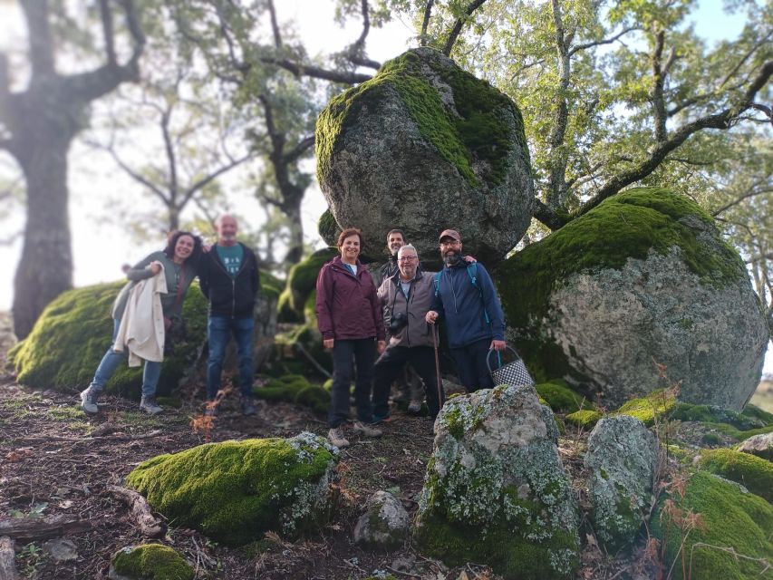 Gredos: Guided Hike in the Vettón Forest