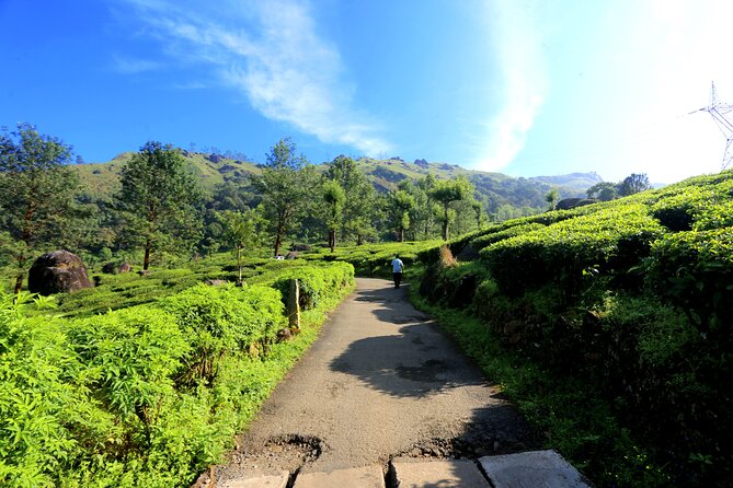 Green Magic Day Tour to Munnar