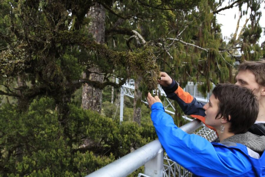 Greymouth: Full-Day Best Of The West Tour