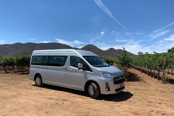 Group Tour