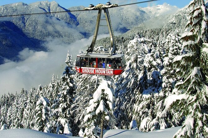 Grouse Mountain Admission Ticket - Overview of Grouse Mountain