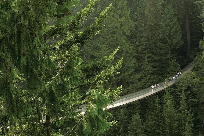 Grouse Mountain & Capilano Suspension Bridge Park - Tour Overview