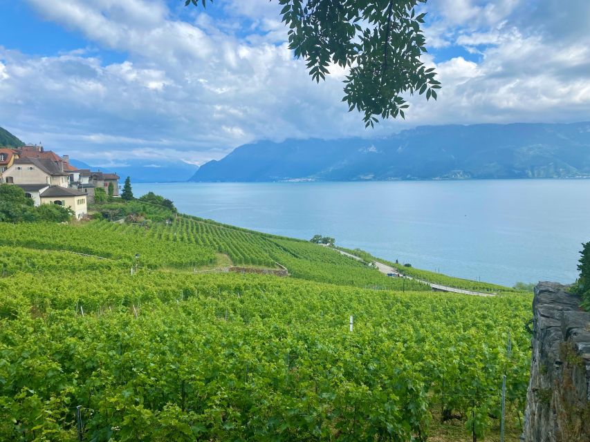 Gruyères & Lavaux Vineyard Day Trip With Cheese & Wine