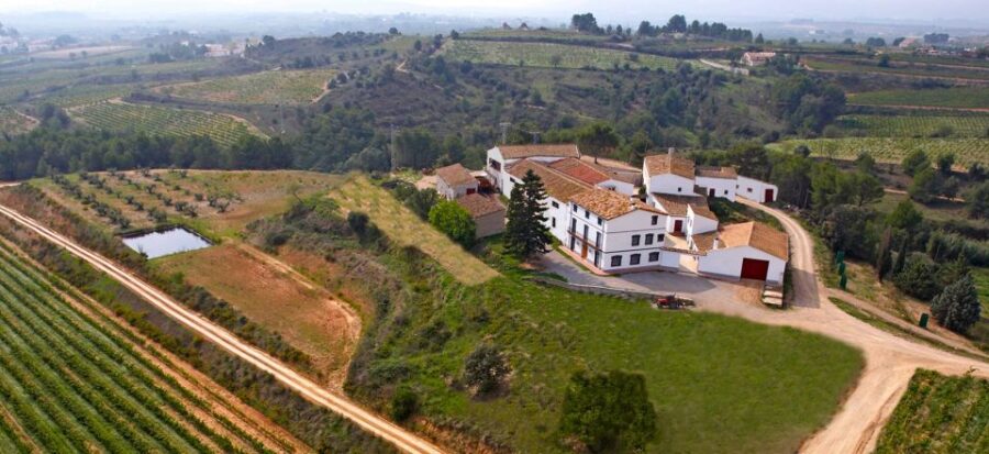 Guardiola De Font-Rubi: Winery & Grill Menu Tour
