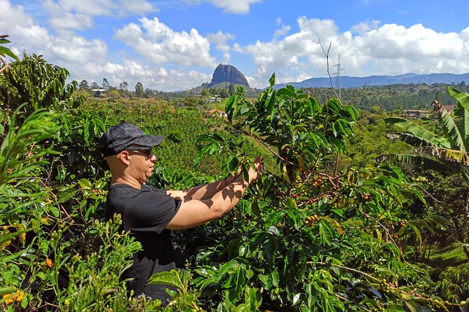 Guatapé & Coffee Farm, All in One Day - Tour Overview