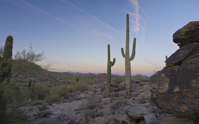 Guided Desert Sunrise or Evening/Sunset 2-Hour Hike at South Mtn - What Youll Experience