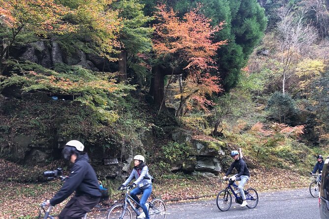2 Best Guided Tours In Oita
