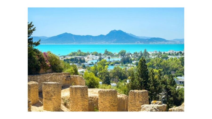 Guided Excursion: Tunis, Carthage and Sidi Bou Said