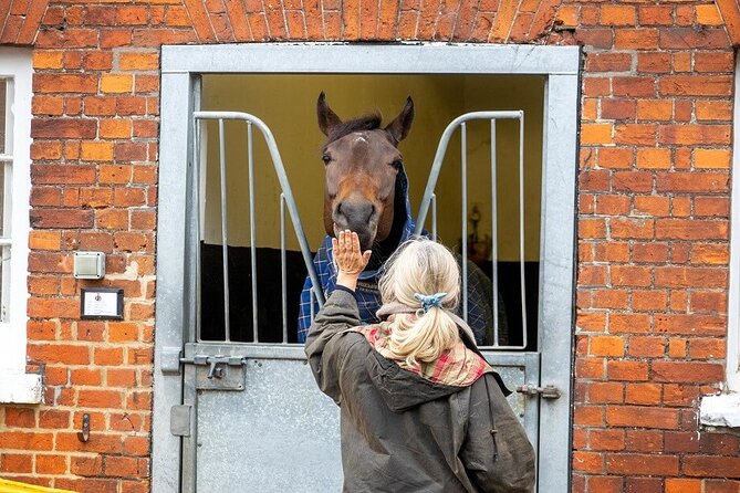 Guided Half Day Behind the Scenes Newmarket Tour