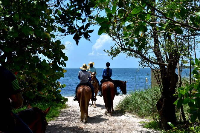 Guided Horseback Riding on The Pristine Waters of Miami Florida - Overview of the Activity