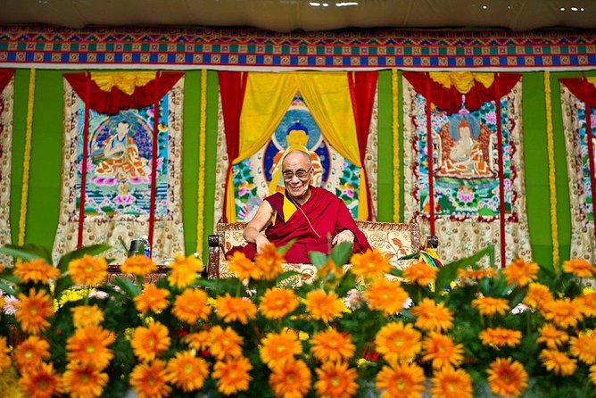 7 Best Guided Tours In Dharmasala