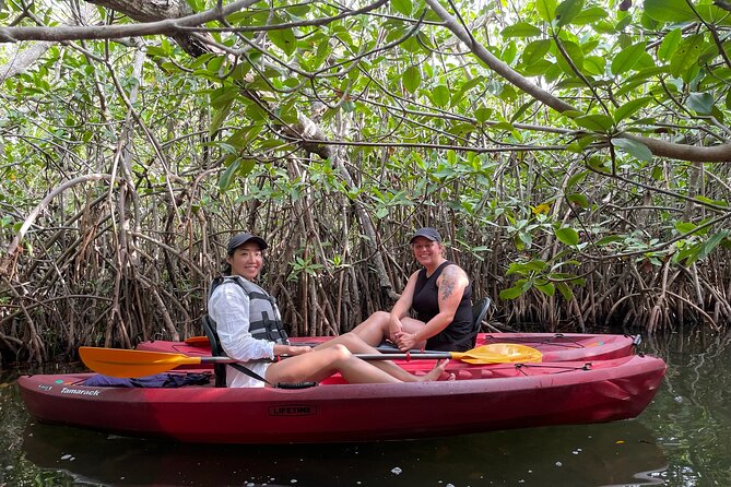 Guided Kayak Experience in Cancun