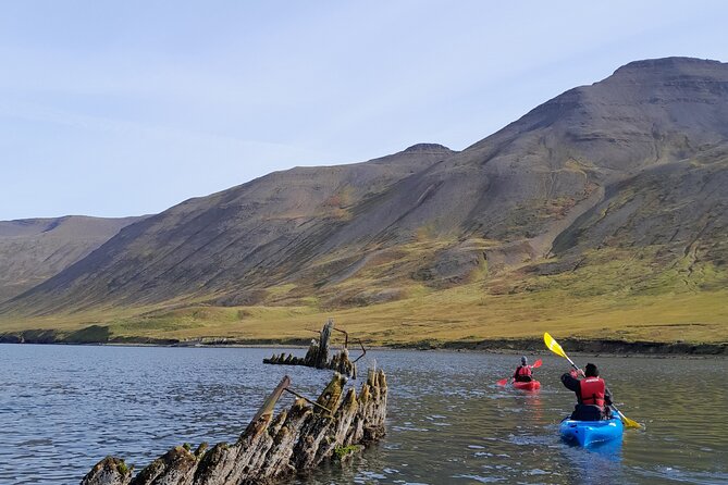 Guided Kayak Tour in Siglufjordur.