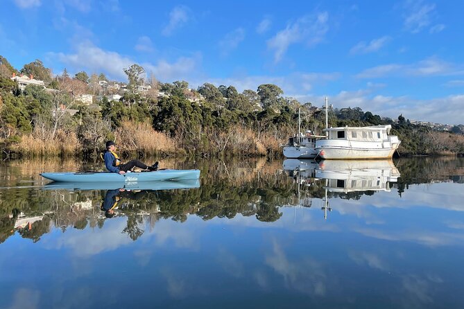 Guided Kayak Tour on Launcestons Scenic Waterfront on Foot Powered Hobie Kayaks
