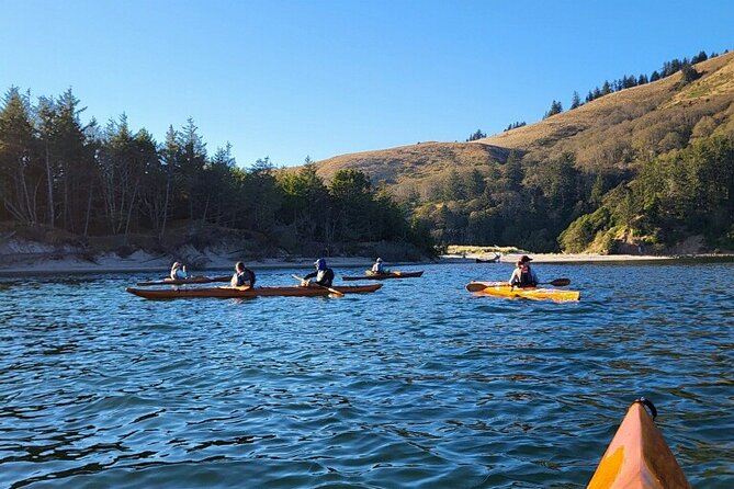 3 Best Guided Tours In Oregon