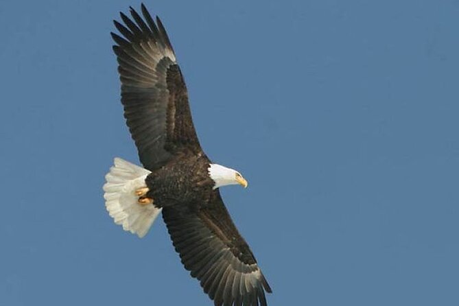 Guided Scenic Float Day Trip on the Salmon River - Tour Overview