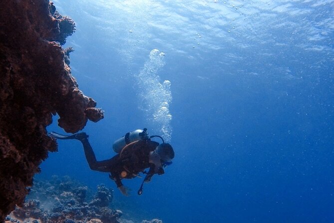 Guided Scuba Diving Adventure in Aqaba - Inclusion and Amenities