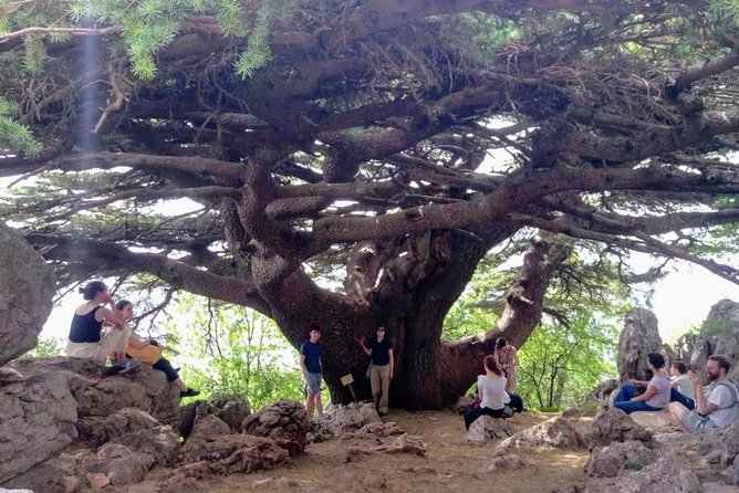 Guided Small-Group Tour to Qadisha, Bcharee & Cedars With Lunch