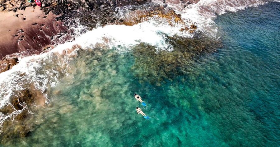 Guided Snorkeling Experience