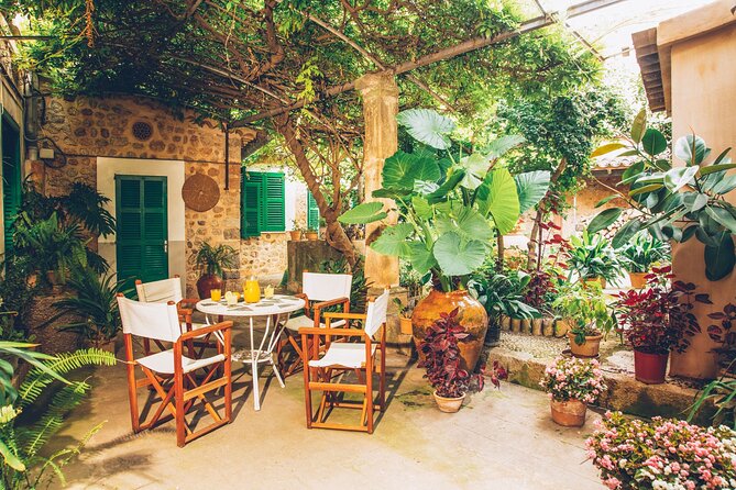Guided Tasting Tour in 16TH Century House and Olive Oil Factory