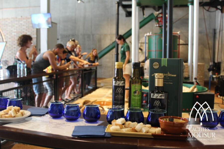 Guided Tour and Oil Tasting at the Aceites Molisur Factory - Experience Highlights