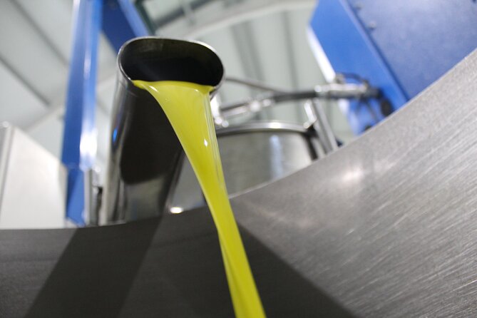 Guided Tour and Olive Oil Tasting in Alhaurin El Grande (Malaga)