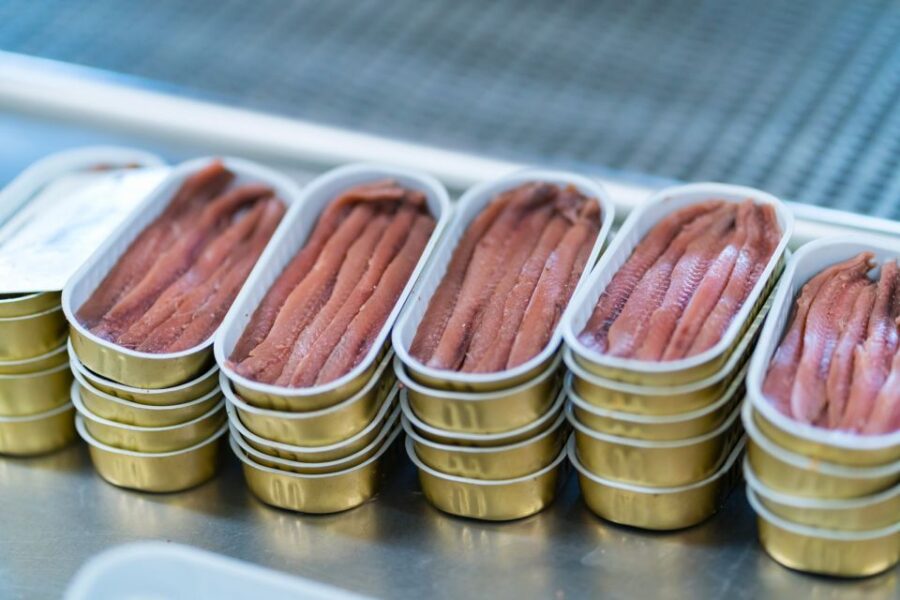Guided Tour at the Anchovy Factory of Santoña