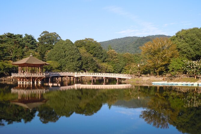 Guided Tour of Todaiji and Nara Park (Guide in English)
