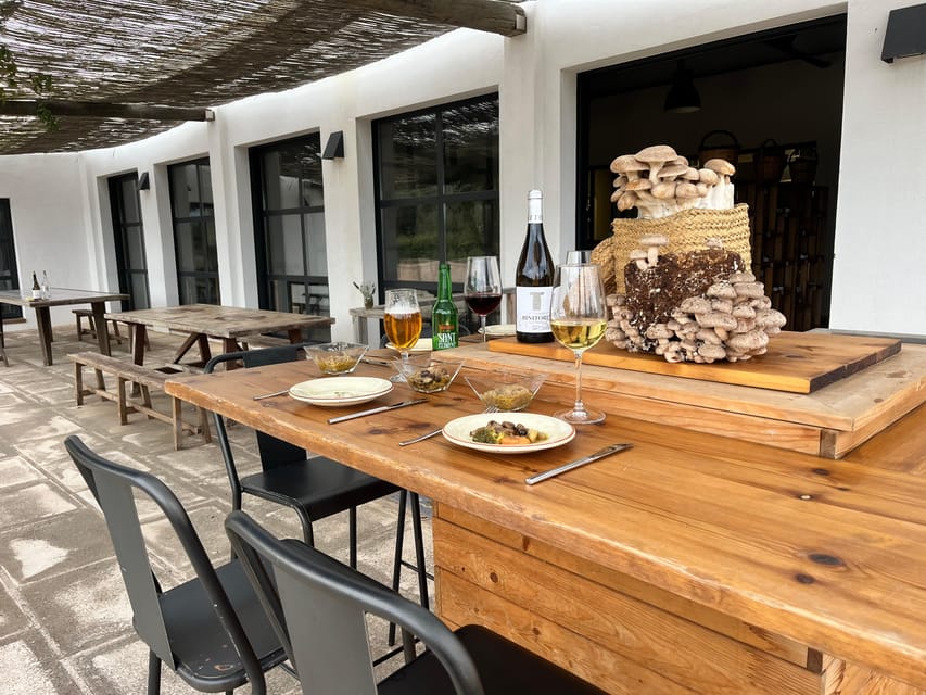 GUIDED TOUR + TASTE IN A MUSHROOM FARM