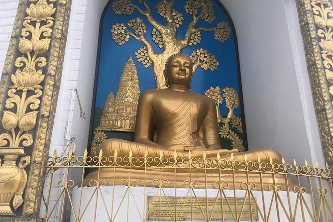 Guided Tour to Explore the Entire Pokhara City - Tour Highlights