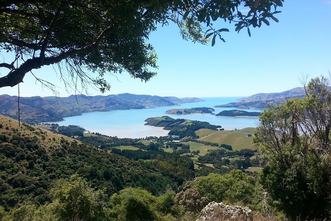 Guided Walk & Scenic Drive From Christchurch- Port Hills & Packhorse Hut