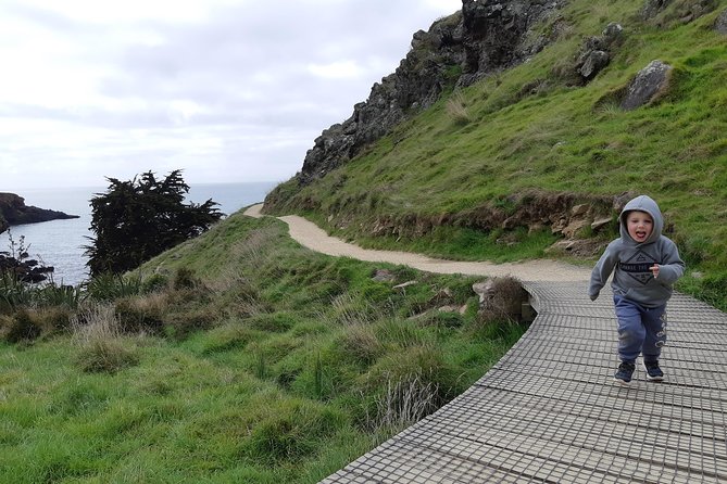 Guided Walking Tour & Scenic Drive Form Christchurch - Lyttelton & Godley Head - Inclusions