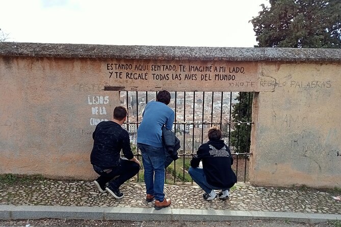 Guided Walking Tour With Panoramic Views and Terraces of Granada
