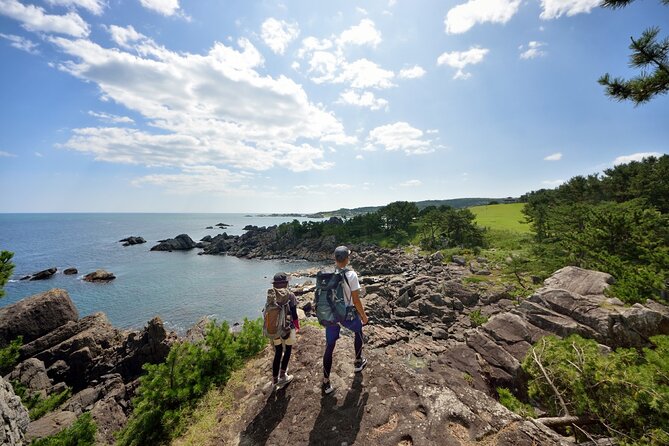 Hachinohe Half-Day Private Trip With Government-Licensed Guide