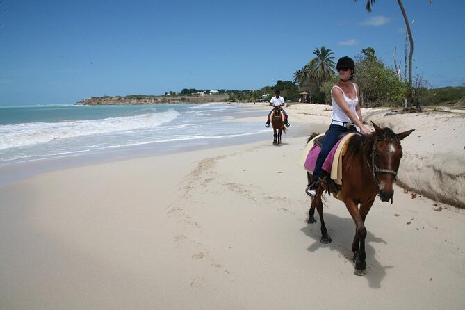 Half-Day Beach Horse Back Riding in Puerto Plata - Inclusions