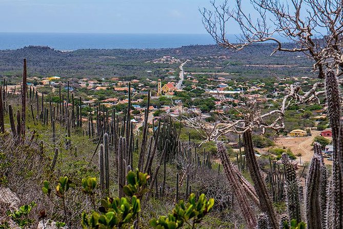 Half-Day Bonaire Island Tour With Hotel Pickup and Drop-Off