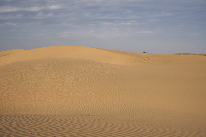 Half Day Camel Safari Sunset With Dinner Tour (Non Touristic)