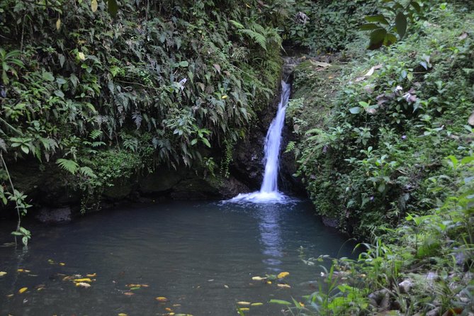 Half-Day Center of Puerto Rico Cultural Tour