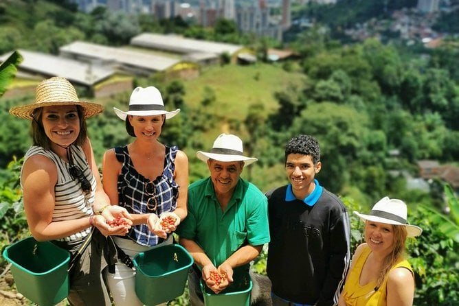 Half-Day Coffee Plantation Tour: Very Educational and Fun